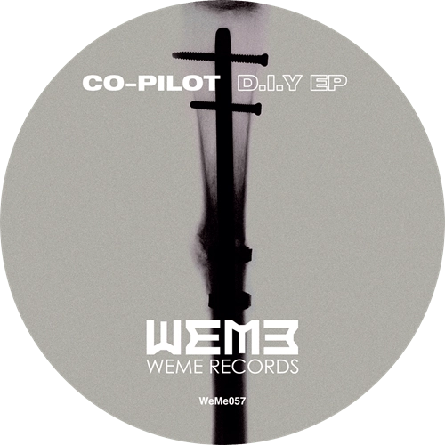 CO-PILOT / D.I.Y EP