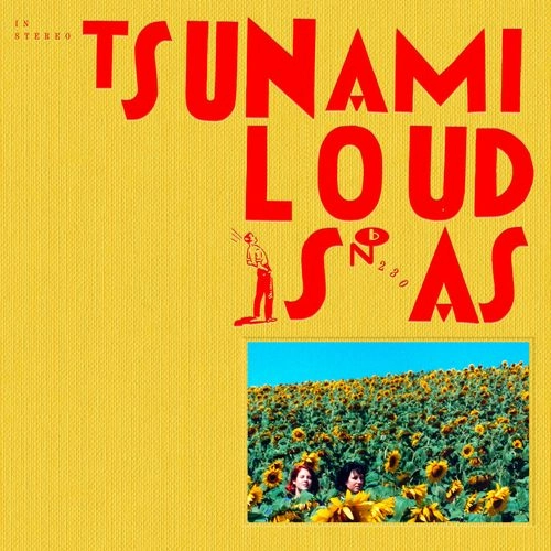 TSUNAMI / LOUD IS AS (5XLP - GREY)
