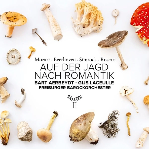 BART AERBEYDT / バート・アールベイト / AUF DER JAGD NACH ROMANTIK HORN CONCERTO/DUO