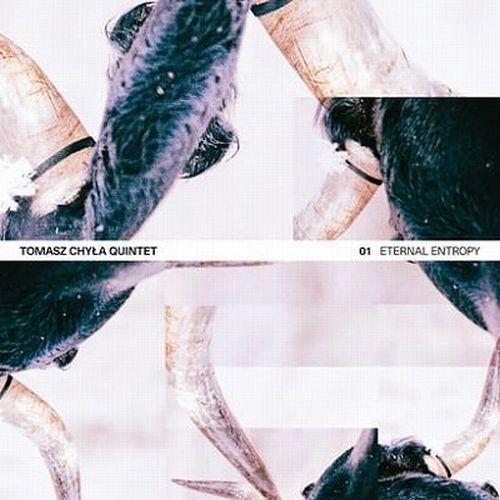 TOMASZ CHYLA / トマシュ・ヒワ / ETERNAL ENTROPY