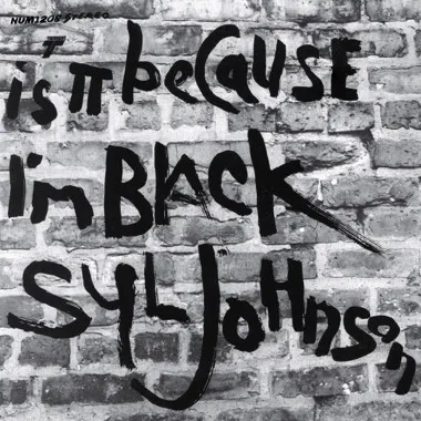 SYL JOHNSON / シル・ジョンソン / IS IT BECAUSE I'M BLACK [LP - GREY & BLACK SWIRL]