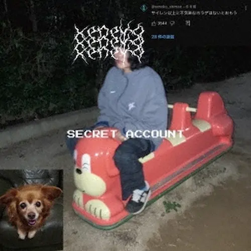 是猫 / SECRET ACCOUNT