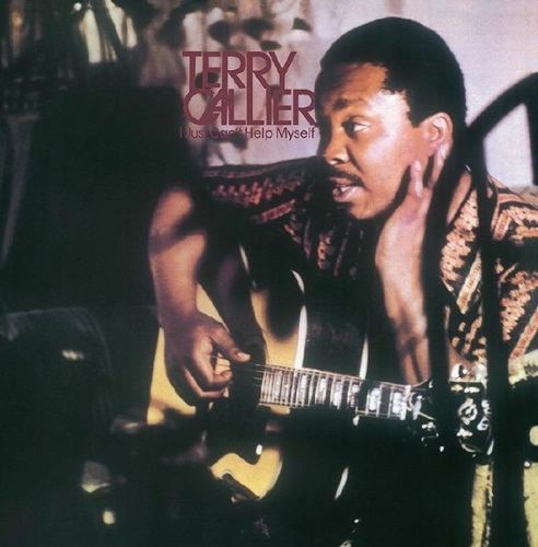 TERRY CALLIER / テリー・キャリアー / JUST CAN'T HELP MYSELF (BEER VINYL)