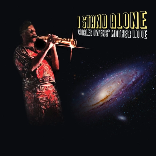 CHARLES OWENS(SAX/FLUTE) / チャールズ・オーウェンズ(SAX/FLUTE) / I STAND ALONE (LP)