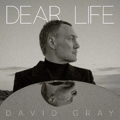 DAVID GRAY / デヴィッド・グレイ / DEAR LIFE (BLACK VINYL)