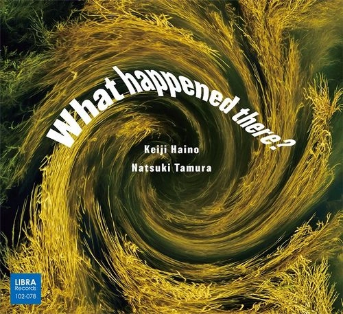 KEIJI HAINO (experimental mixture) / 灰野敬二 / What happened there?