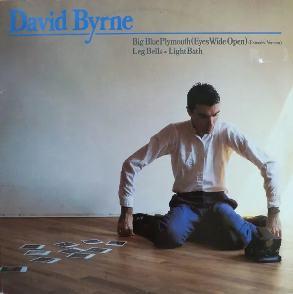 DAVID BYRNE / デヴィッド・バーン / BIG BLUE PLYMOUTH