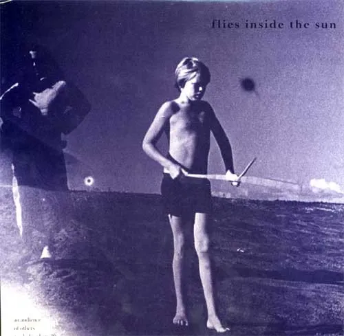 FLIES INSIDE THE SUN / AN AUDIENCE OF OTHERS(INCLUDING HERSELF)