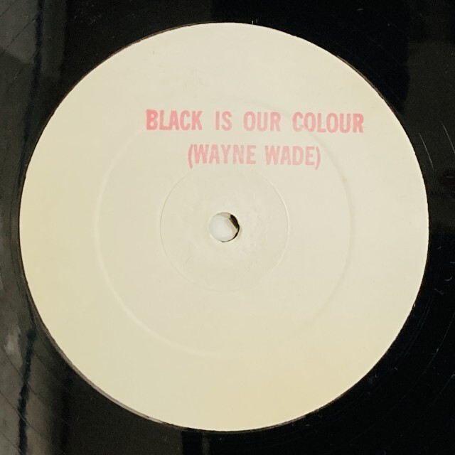WAYNE WADE / ウェイン・ウェイド / BLACK IS OUR COLOUR / POLITICS / POVERTY IN THE GHETTO