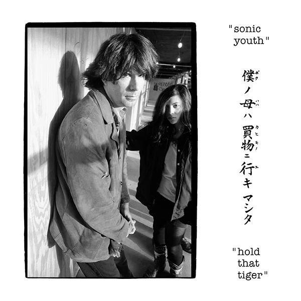 SONIC YOUTH / ソニック・ユース / HOLD THAT TIGER [LP - COLOR]