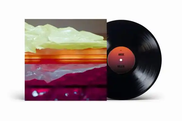 GIOVANNI DI DOMENICO / ジョバンニ・ディ・ドメニコ / ECHOLALIA (LP)