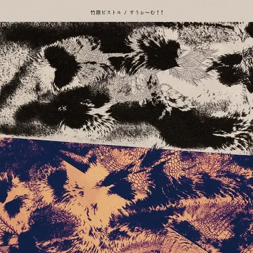 TAKEHARA PISTOL / 竹原ピストル / すうぉ～む!!（CD）