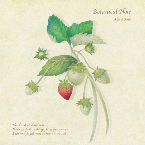 AKINO ARAI / 新居昭乃 / Botanical Note