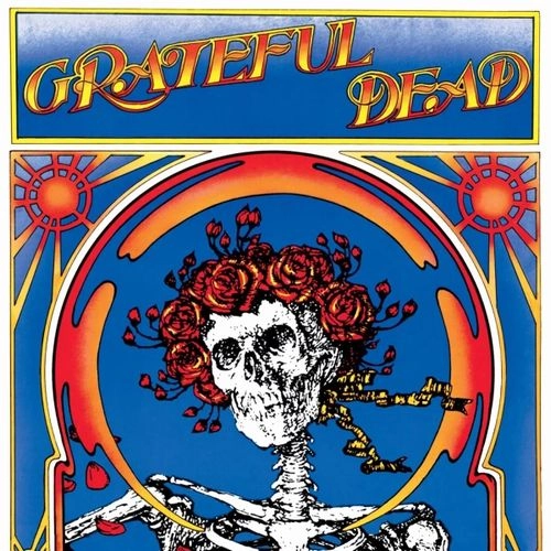 GRATEFUL DEAD / グレイトフル・デッド / GRATEFUL DEAD (SKULL & ROSES) (BRICK & MORTAR EXCLUSIVE) (COLORED 2LP)
