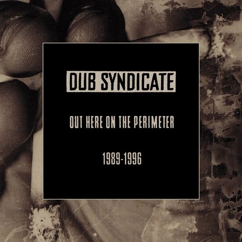 DUB SYNDICATE / ダブ・シンジケート / OUT HERE ON THE PERIMETER (1989-1996) / OUT HERE ON THE PERIMETER (1989-1996) 