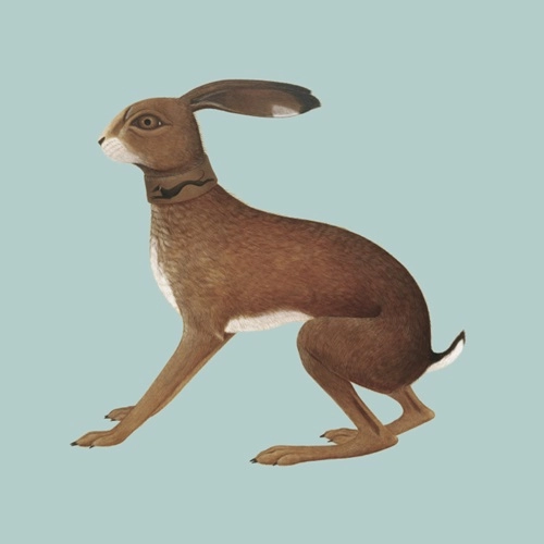 VASHTI BUNYAN / ヴァシュティ・バニヤン / LOOKAFTERING (EXPANDED EDITION)