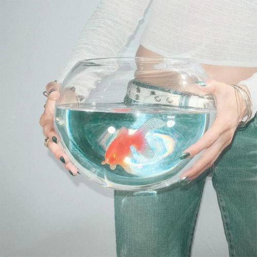 FISH NARC / FROG SONG (LP-BLACK)