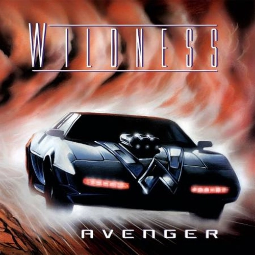 WILDNESS   / ワイルドネス / アヴェンジャー / AVENGER