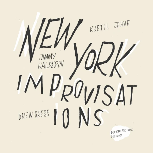 KJETIL JERVE/JIMMY HALPERIN/DREW GRESS / NEW YORK IMPROVISATIONS