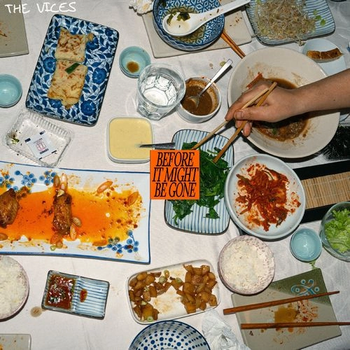 VICES (INDIE) / BEFORE IT MIGHT BE GONE (CD)