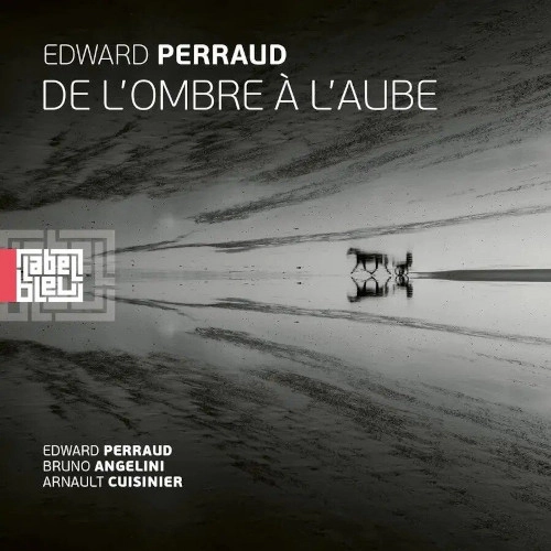 EDWARD PERRAUD / DE L'OMBRE A L'AUBE