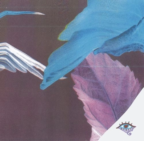 TROTH (EXPERIMENTAL) / FORGET THE CURSE
