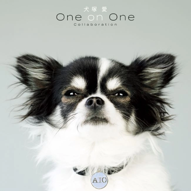 AI OTSUKA / 大塚愛 / 犬塚 愛 One on One Collaboration（LP）
