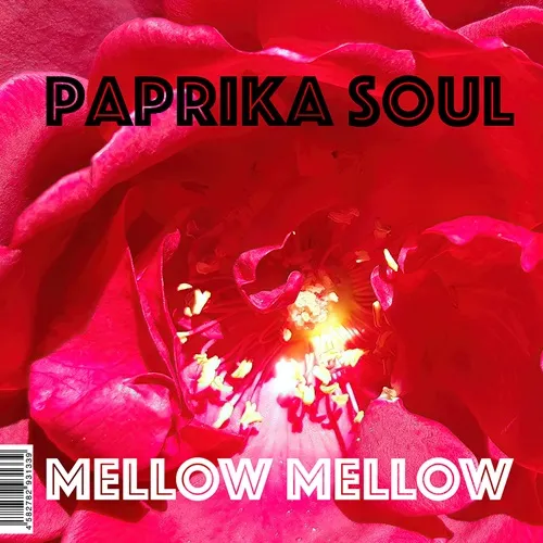 PAPRIKA SOUL / パプリカ・ソウル / MELLOW MELLOW / TOO MUCH LOVE MAKIN'