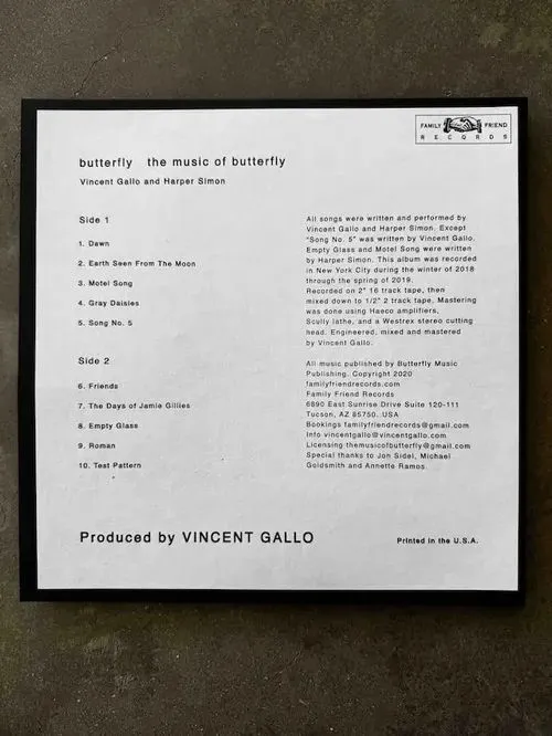 BUTTERFLY (VINCENT GALLO & HARPER SIMON) / THE MUSIC OF BUTTERFLY