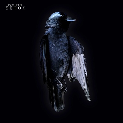 RICO FRIEBE / リコ・フリーベ / SHOOK（国内盤CD）