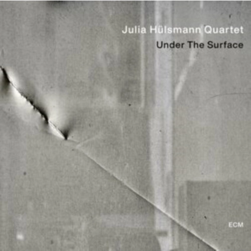 JULIA HULSMANN / ジュリア・ハルスマン / UNDER THE SURFACE (LP)