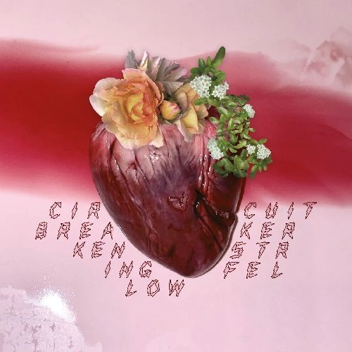 KEN STRINGFELLOW / ケン・ストリングフェロウ / CIRCUIT BREAKER (CD)