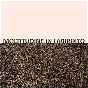 GIGI MASIN & GIUSEPPE CAPRIOLI / MOLTITUDINE IN LABIRINTO (LP BLACK)
