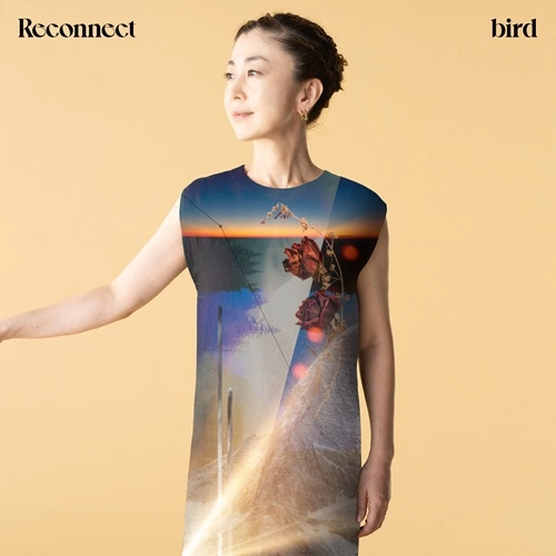 bird / Reconnect（LP）