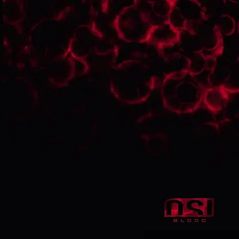 OSI / BLOOD