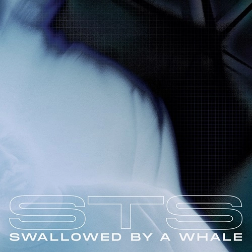 STS (DETROIT) / SWALLOWED BY A WHALE (INCL. DANNY DAZE X JONNY FROM SPACE & WARZOU REMIXES)
