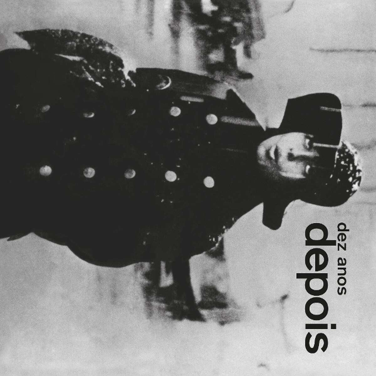 NARA LEAO / ナラ・レオン / DEZ ANOS DEPOIS (2LP)