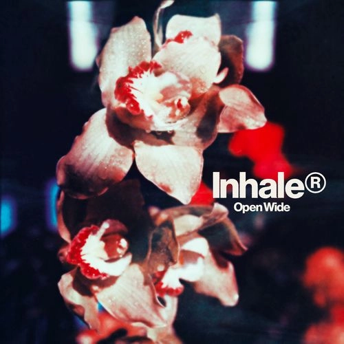 INHALER / インヘイラー / OPEN WIDE / オープン･ワイド