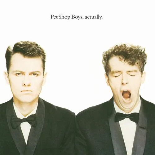 PET SHOP BOYS / ペット・ショップ・ボーイズ / 哀しみの天使