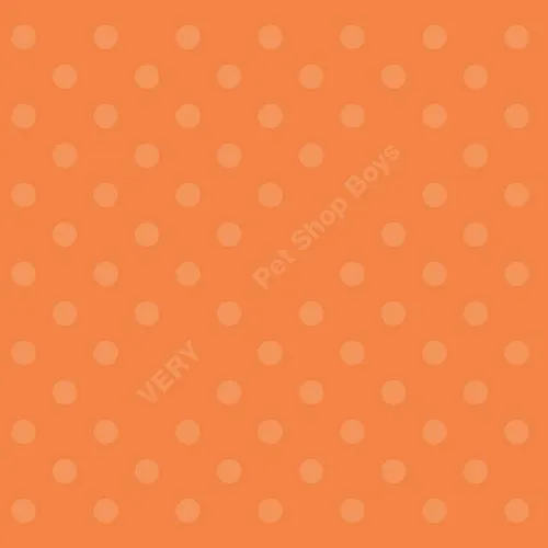 PET SHOP BOYS / ペット・ショップ・ボーイズ / ヴェリー