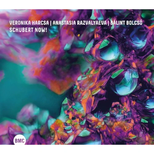 VERONIKA HARCSA / ヴェロニカ・ハルチャ / SCHUBERT NOW