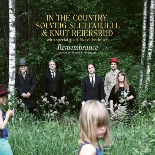 IN THE COUNTRY / イン・ザ・カントリー / REMEMBRANCE (LP)
