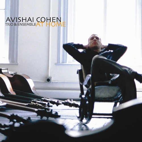 AVISHAI COHEN (BASS) / アヴィシャイ・コーエン / AT HOME (LP)