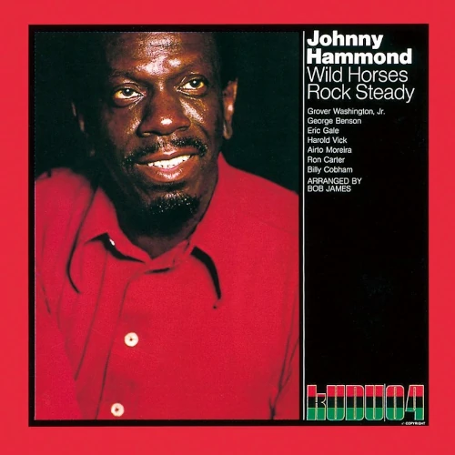 JOHNNY HAMMOND SMITH / ジョニー・ハモンド・スミス / ワイルド・ホーセズ・ロック・ステディ