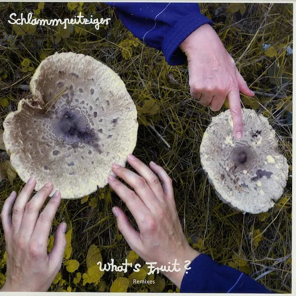 SCHLAMMPEITZIGER / シュラムパイトチガー / WHAT'S FRUIT REMIXES