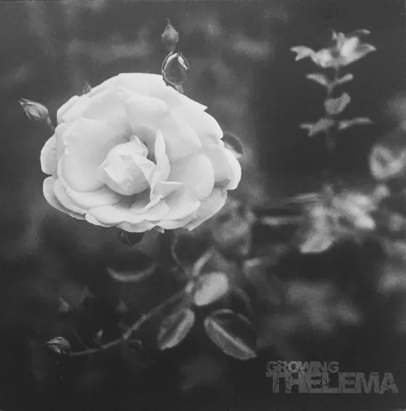 THELEMA / GROWING