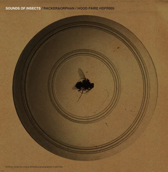 RACKER & ORPHAN / SOUND OF INSECTS