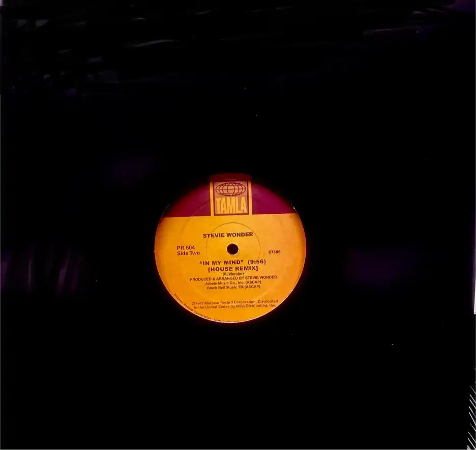 STEVIE WONDER / スティーヴィー・ワンダー / IF YOU REALLY LOVED ME / I WISH / IN MY MIND (HOUSE MIXES)