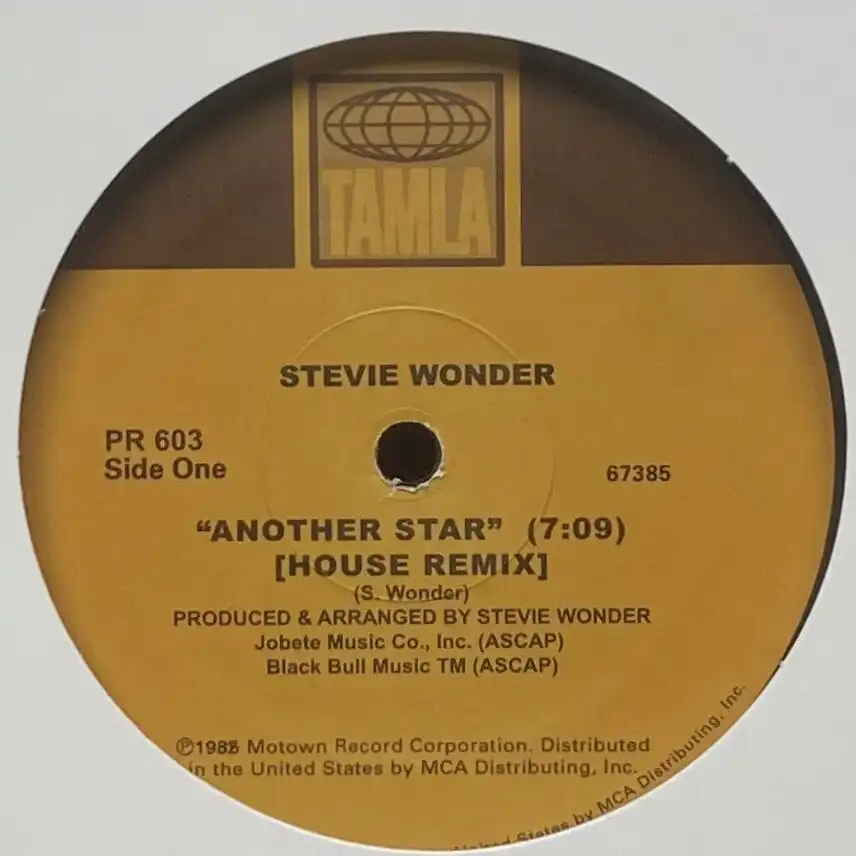 STEVIE WONDER / スティーヴィー・ワンダー / ANOTHER STAR / TOO HIGH (HOUSE REMIXES)