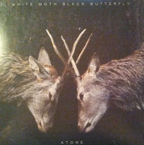 WHITE MOTH BLACK BUTTERFLY / ホワイト・モス・ブラック・バタフライ / ATONE